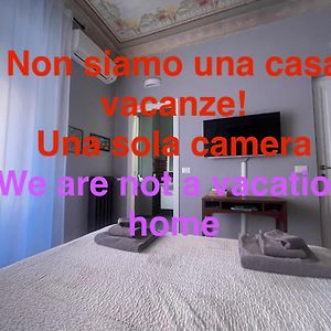B&B U Sente